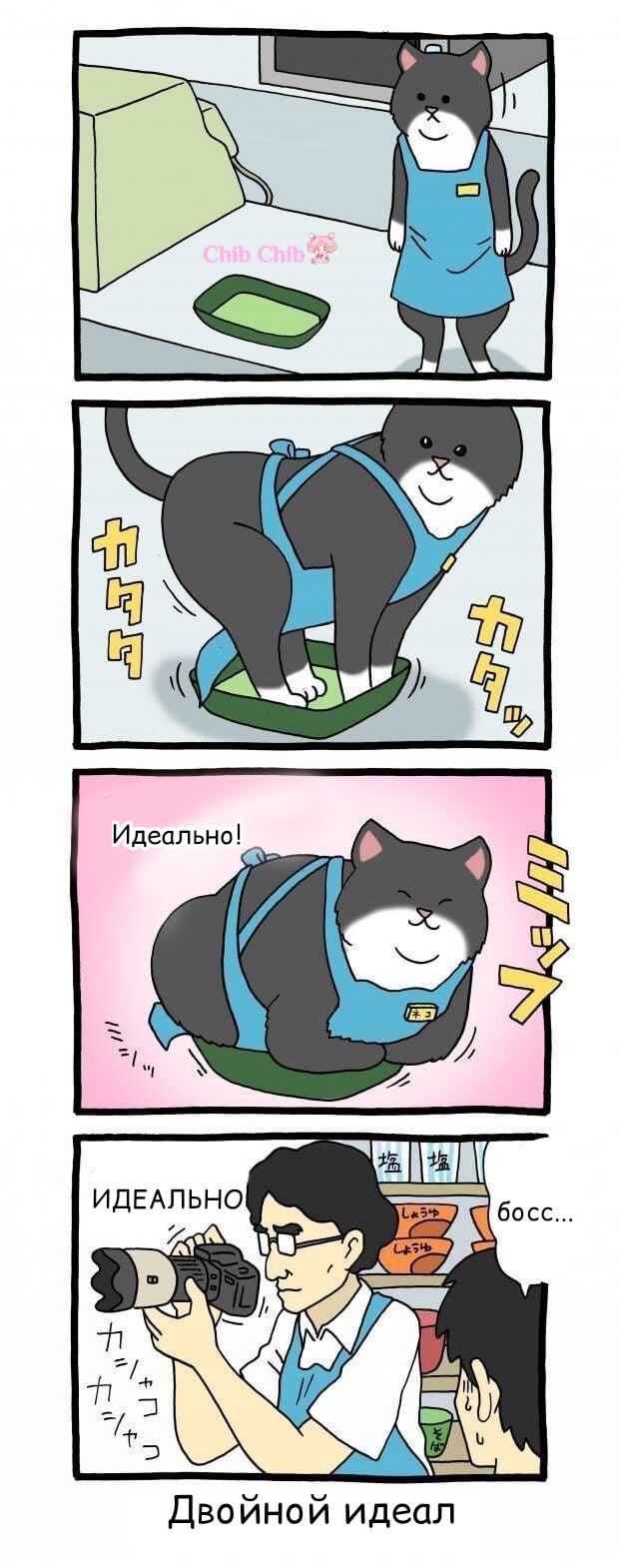 Манга Котик-кассир - Глава 54 Страница 1