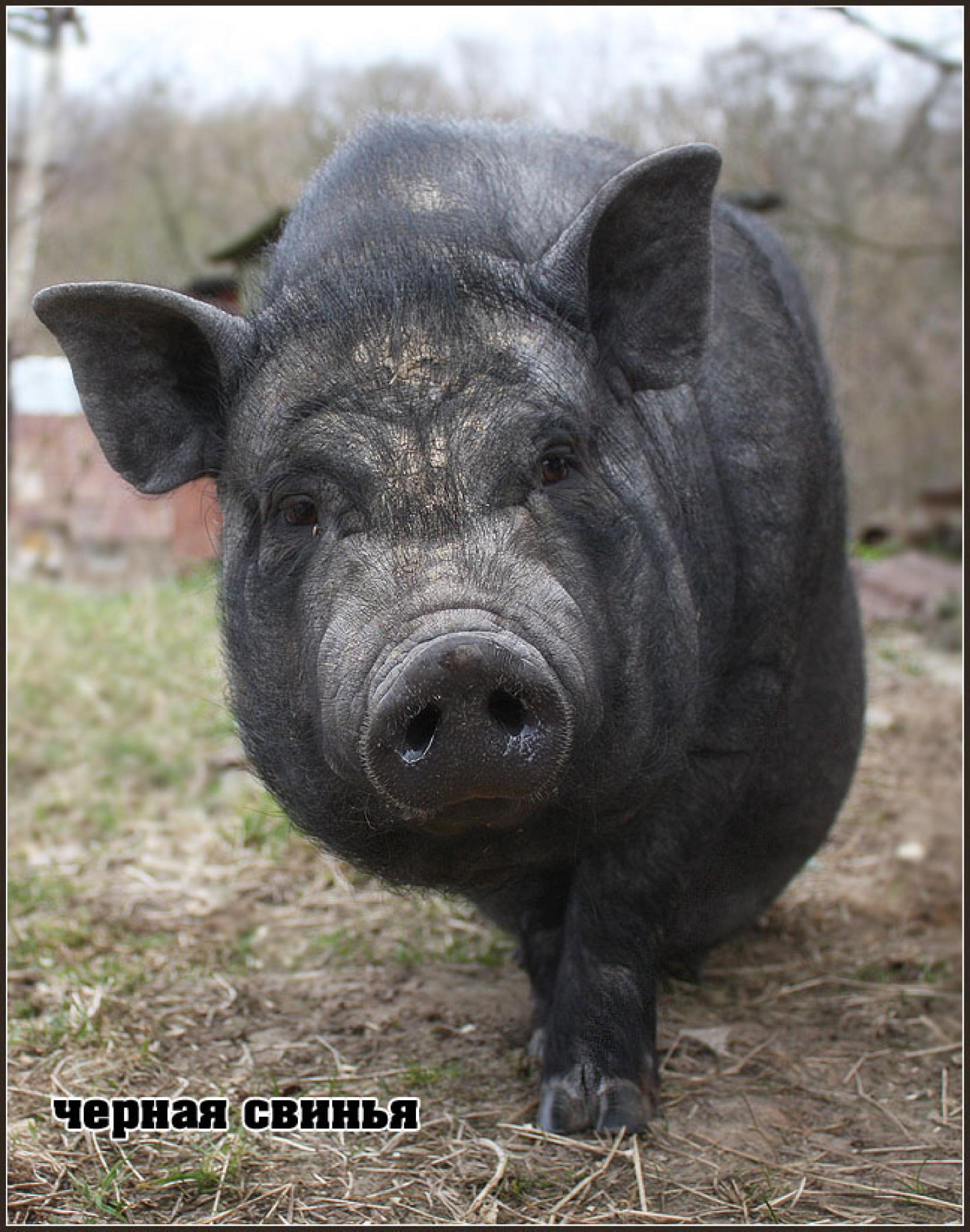 Манга На предельных оборотах! - Глава 95 Страница 18