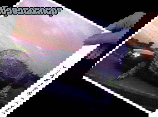 Манга На предельных оборотах! - Глава 75 Страница 22