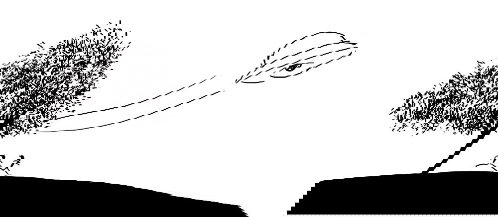 Манга ФанКомиксы и Арты: Западные фандомы - Глава 31 Страница 29