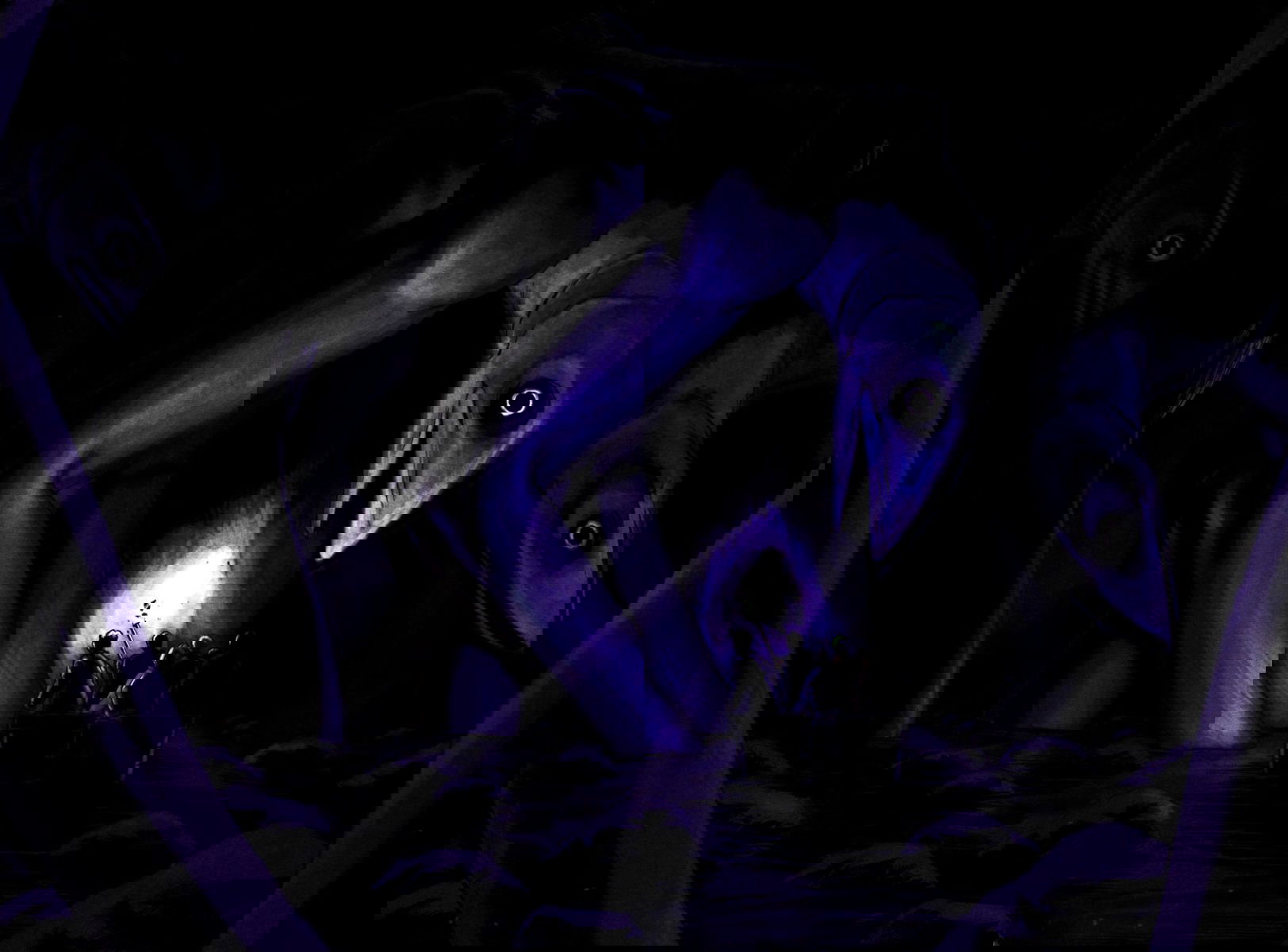 Манга Остров вампиров - Глава 50 Страница 2