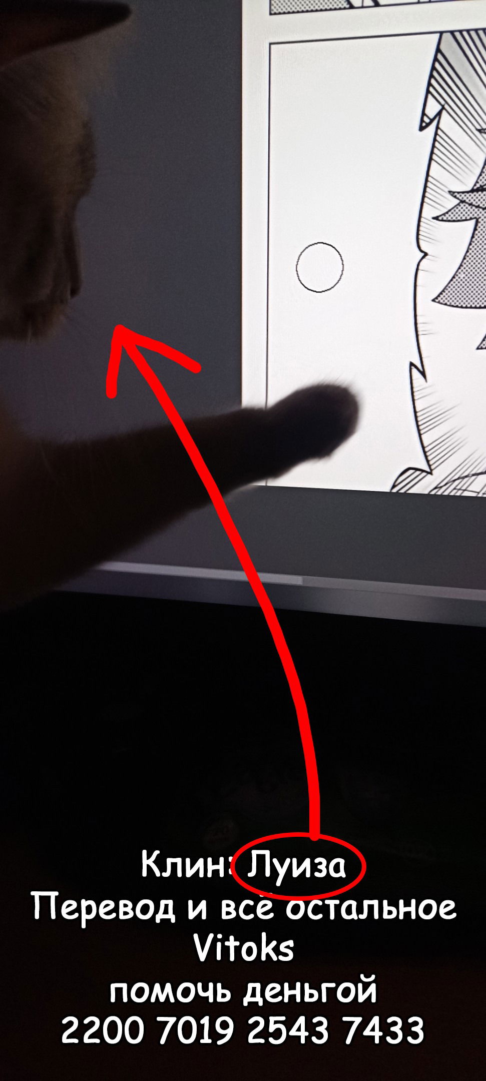 Манга Девушки-пони: Серая Золушка - Глава 148 Страница 20