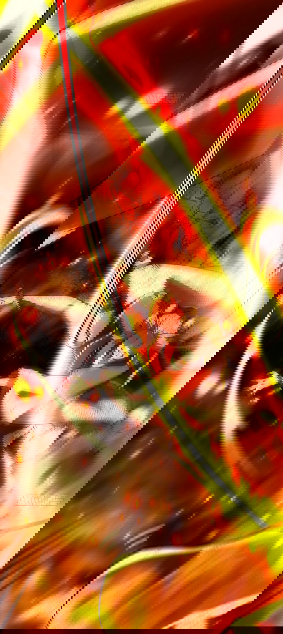 Манга С этим аккаунтом явно что-то не так! - Глава 41 Страница 12