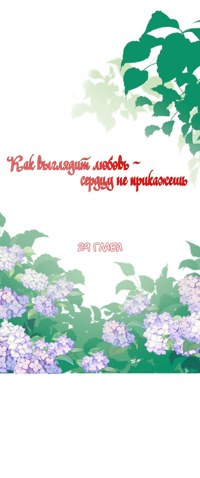 Манга Как выглядит любовь: сердцу не прикажешь - Глава 29 Страница 1