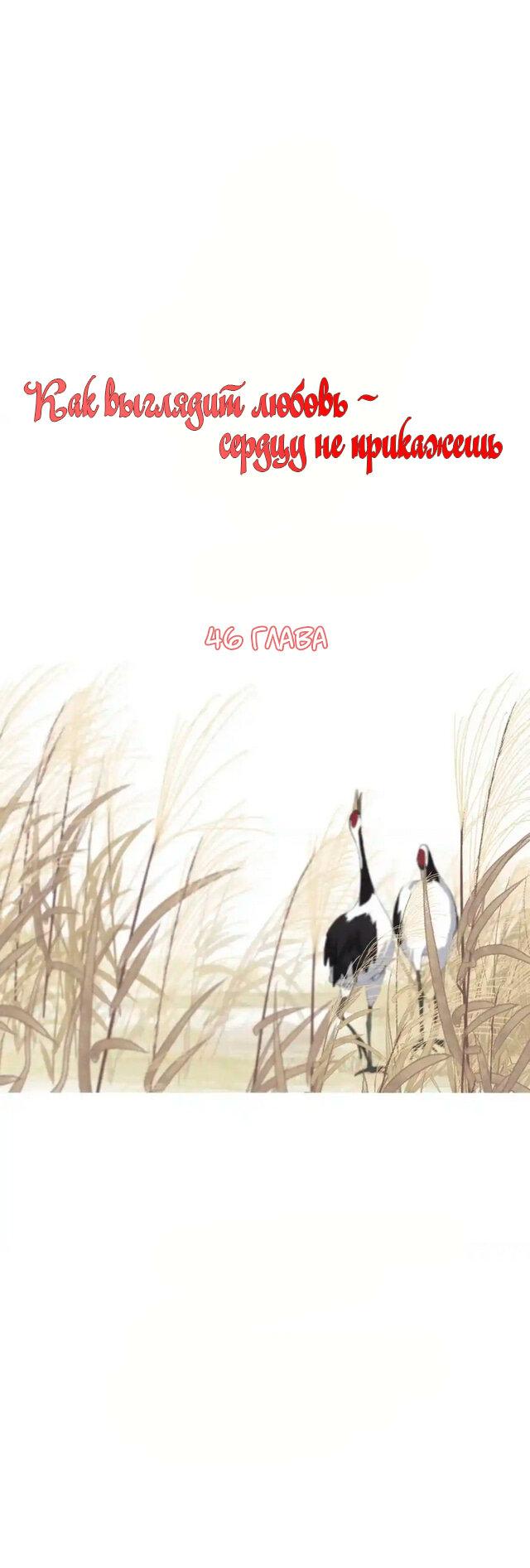 Манга Как выглядит любовь: сердцу не прикажешь - Глава 46 Страница 1