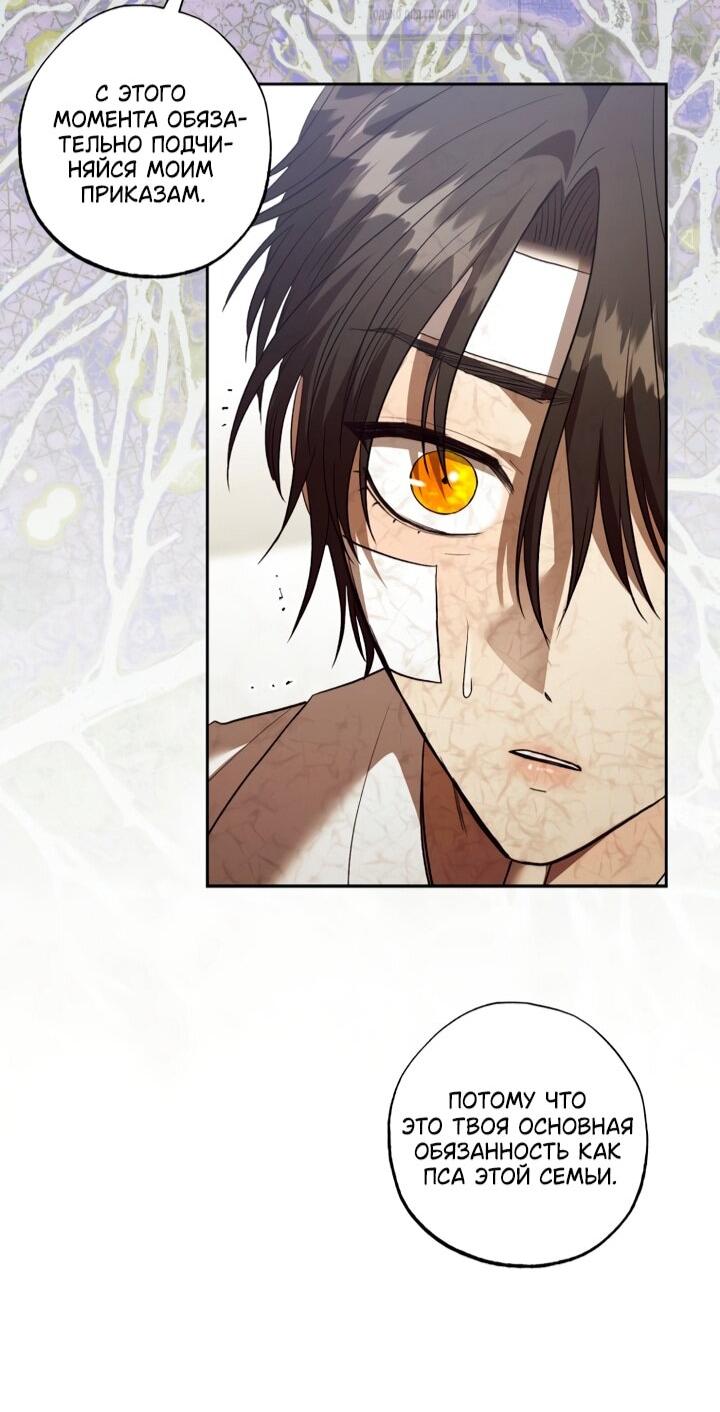 Манга Меня укусил пес, которого я бросила - Глава 82 Страница 12