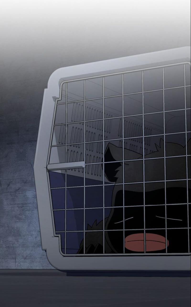 Манга Апокалиптическое пробуждение шеф-повара - Глава 91 Страница 35