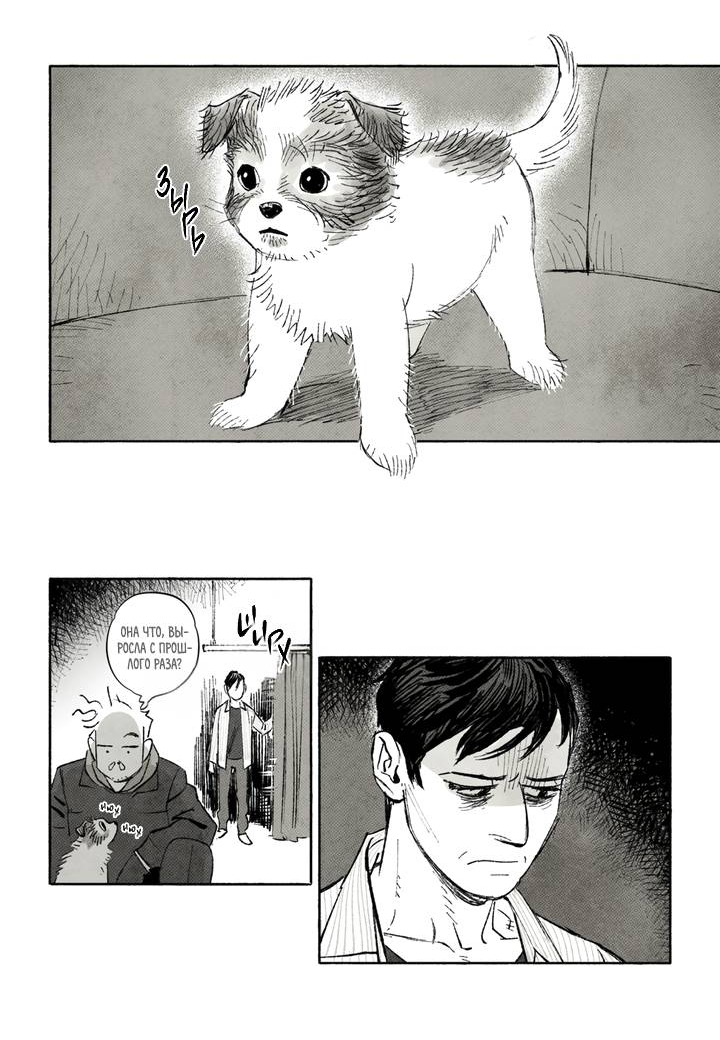 Манга Бессмертные дни - Глава 255 Страница 10