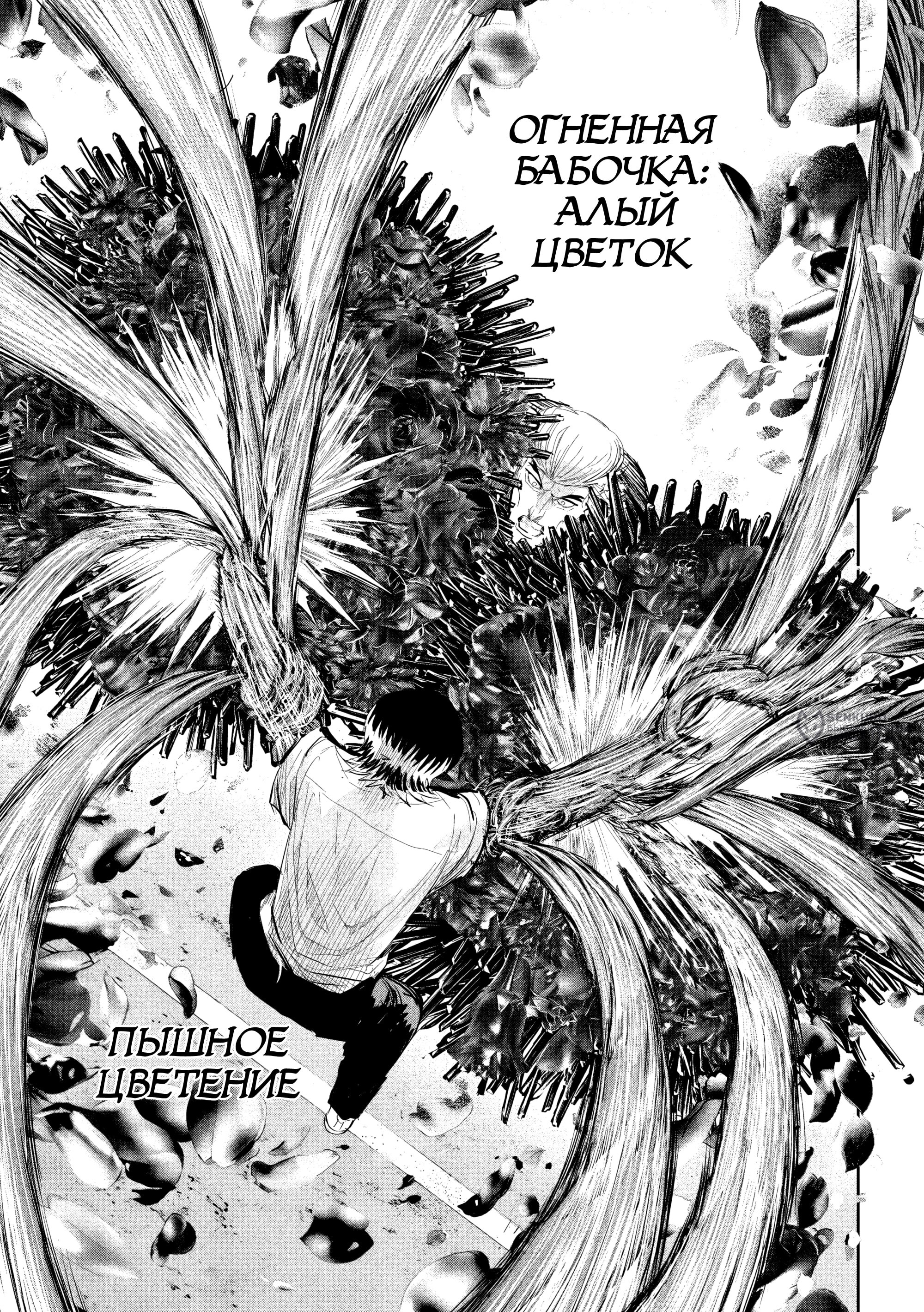 Манга Лили-мэн - Глава 39 Страница 12