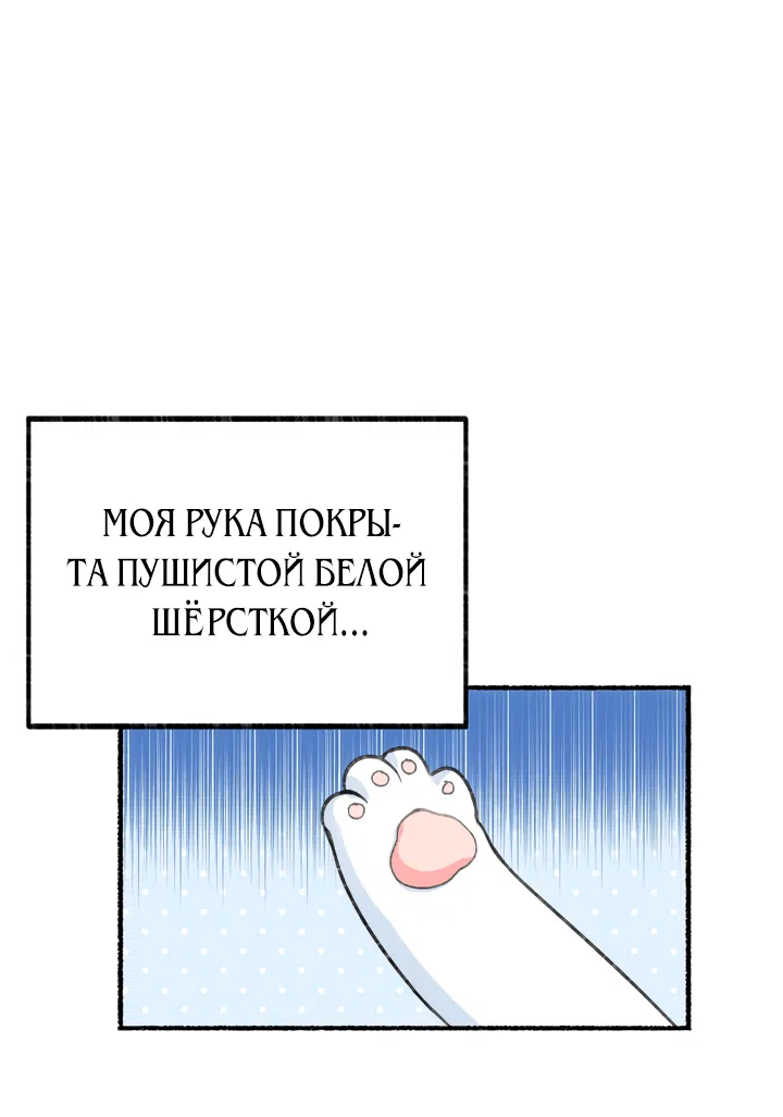 Манга Я стала кошкой одержимого тирана - Глава 1 Страница 22