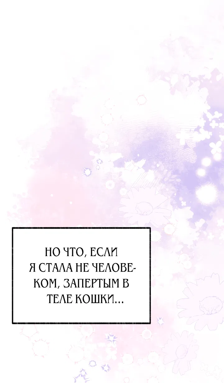 Манга Я стала кошкой одержимого тирана - Глава 3 Страница 29