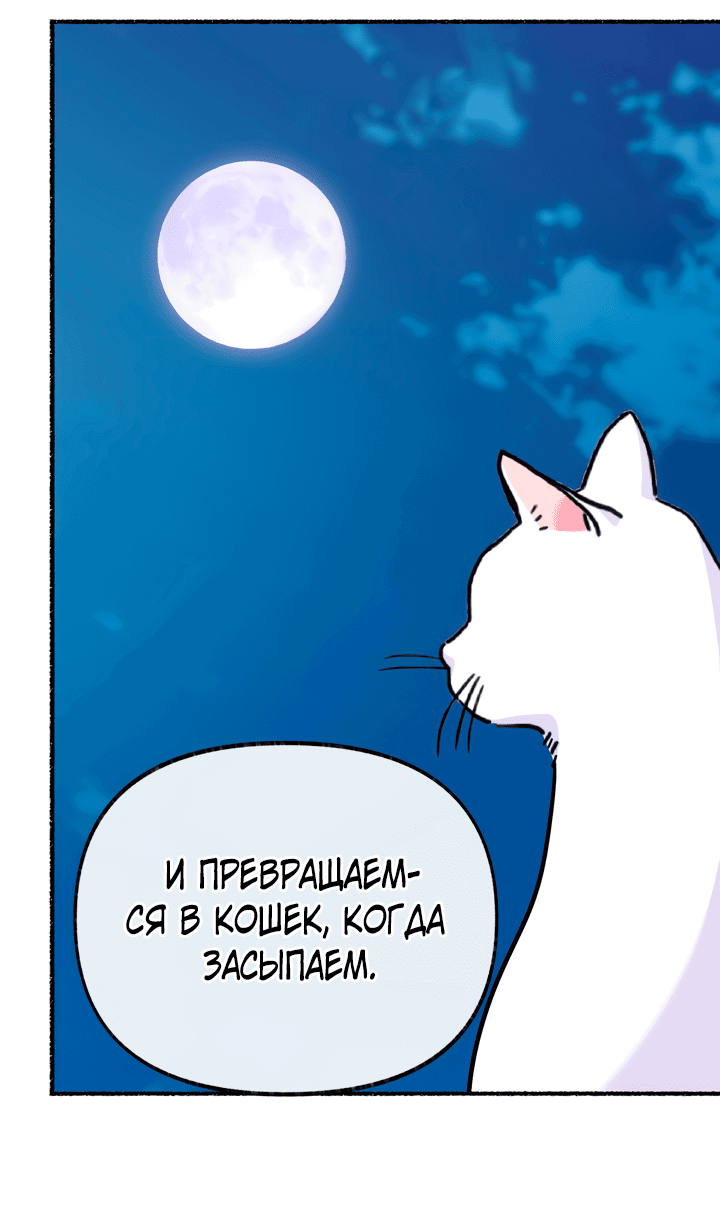 Манга Я стала кошкой одержимого тирана - Глава 13 Страница 63
