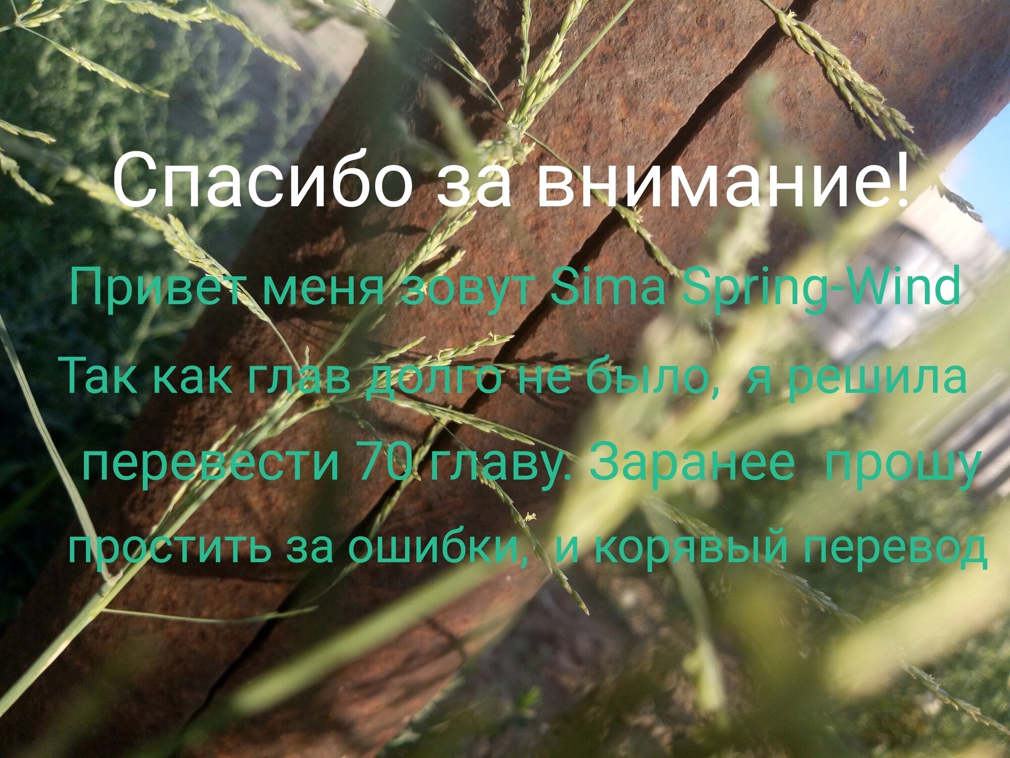 Манга Пристрастие - Глава 70 Страница 1