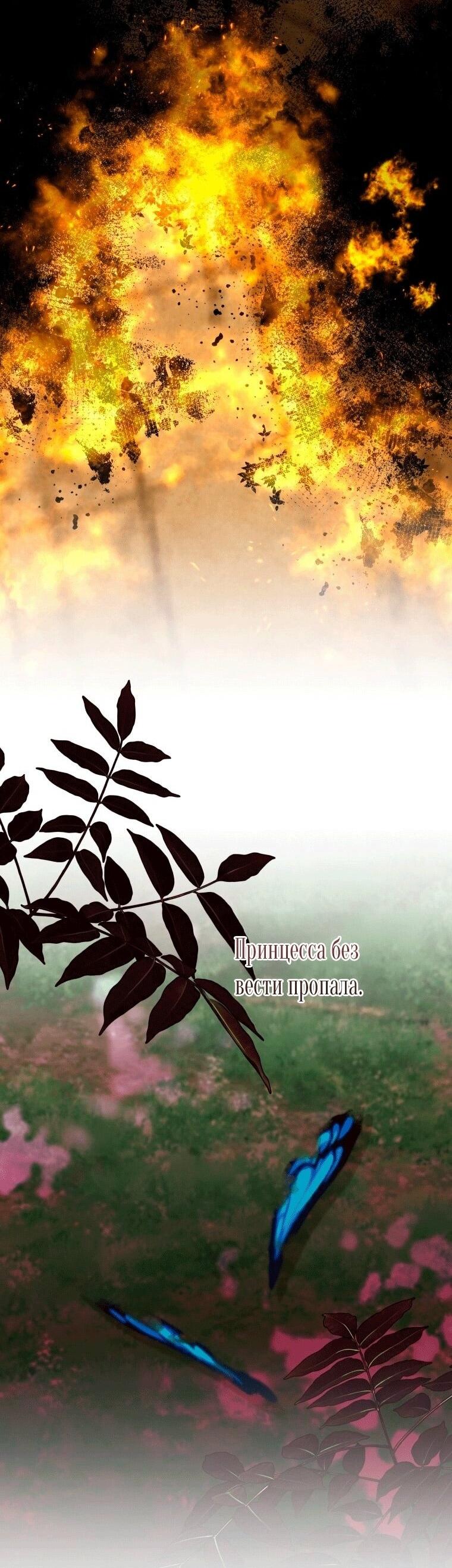 Манга Моим призванием была роль горничной, а не принцессы - Глава 59 Страница 27
