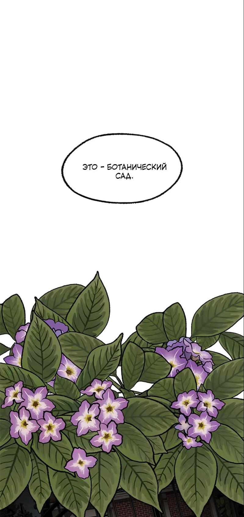 Манга Сумрачный сад - Глава 16 Страница 30