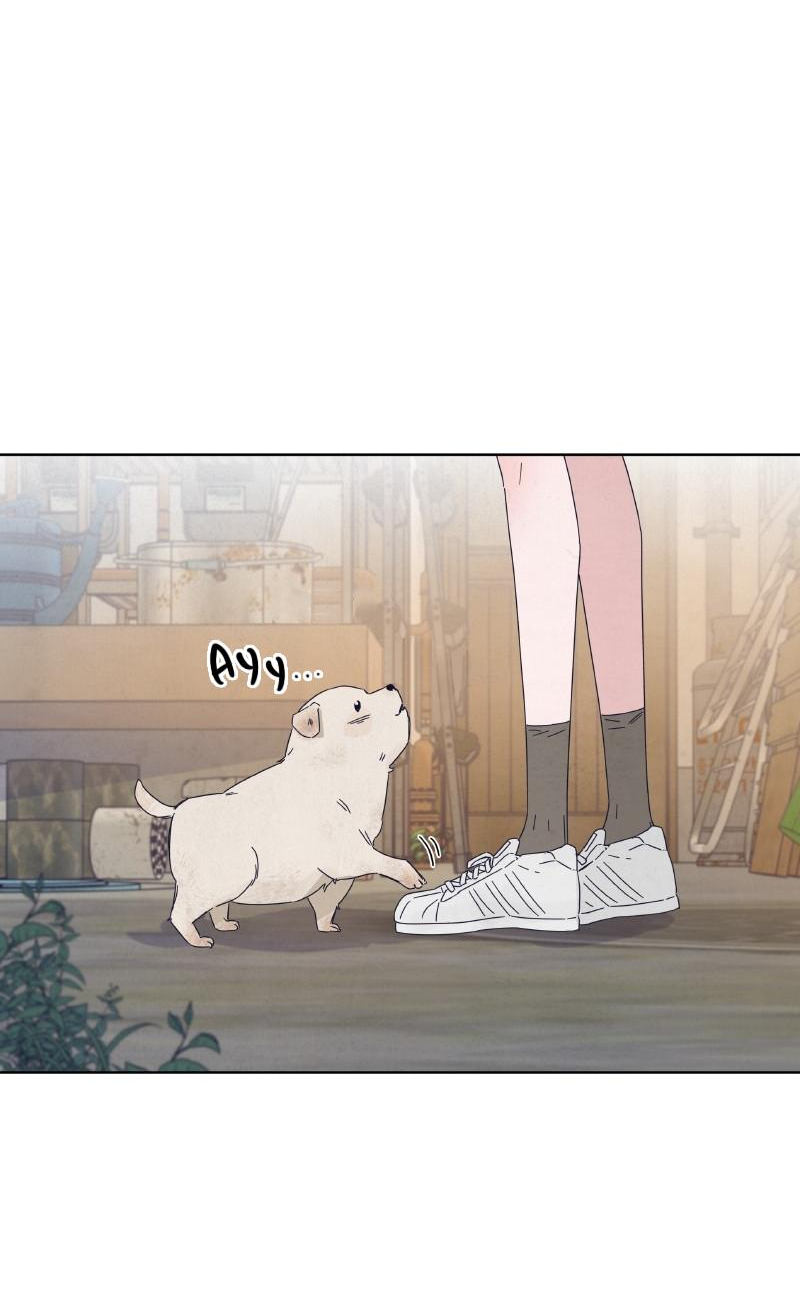 Манга Чёрная русалка - Глава 5 Страница 9