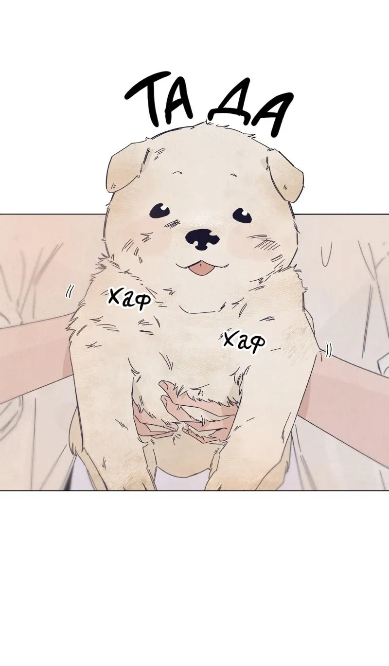 Манга Чёрная русалка - Глава 5 Страница 4