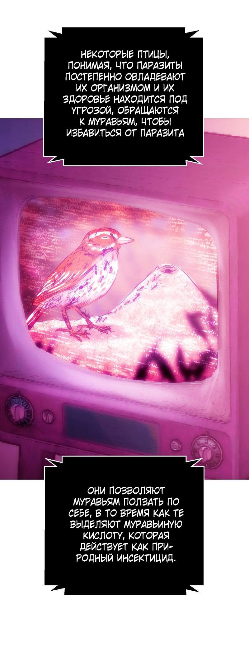 Манга Мэнни - Глава 56 Страница 41