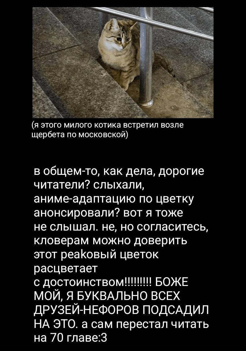 Манга Благоухающий Цветок Расцветает С Достоинством - Глава 106 Страница 24