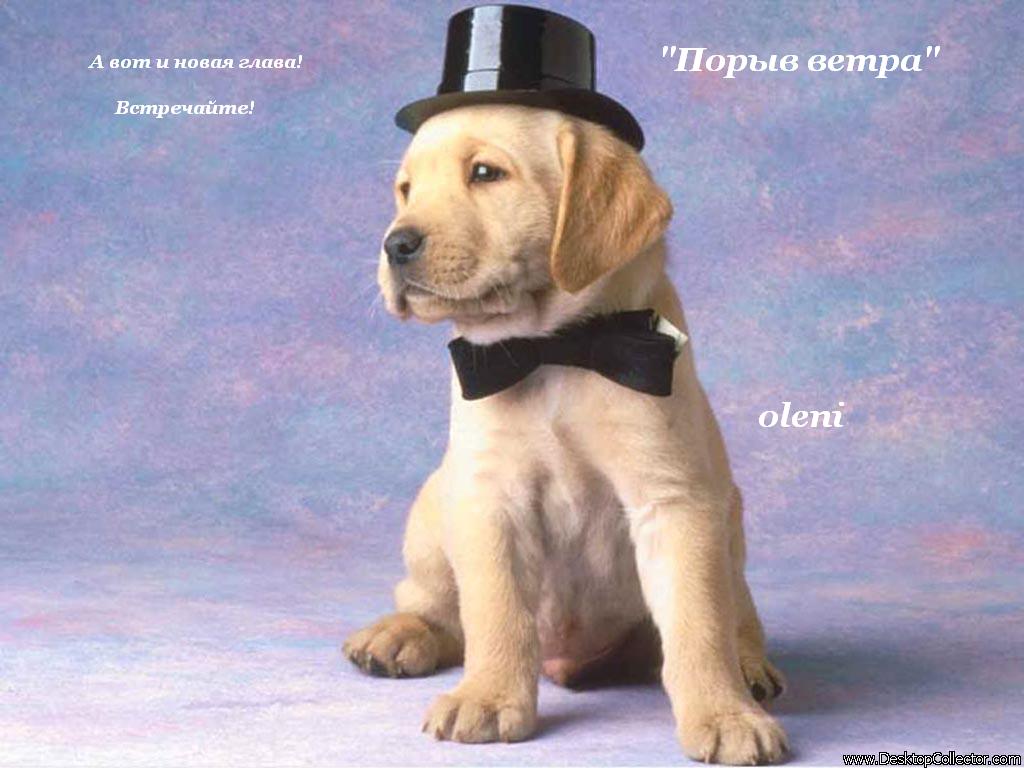 Манга Воздушный мастер - Глава 10 Страница 1