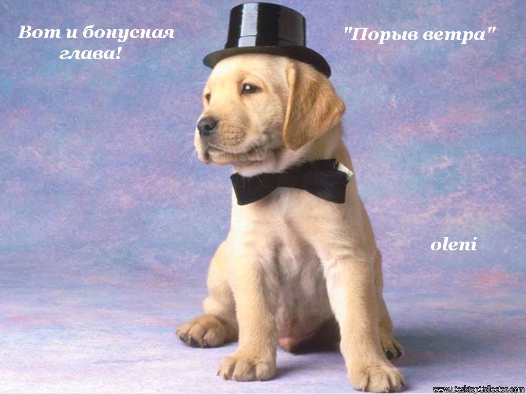 Манга Воздушный мастер - Глава 9 Страница 1