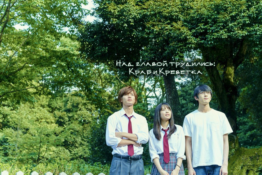 Манга Яркая Чихая - Глава 161 Страница 33