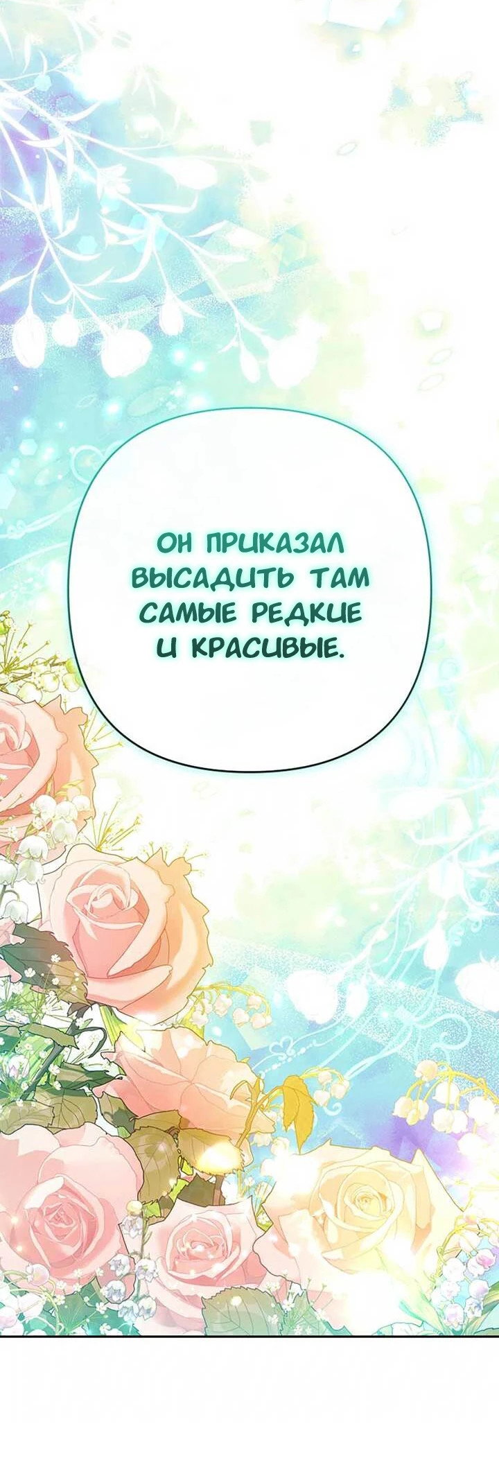 Манга Я императрица, но избегаю императора - Глава 69 Страница 19