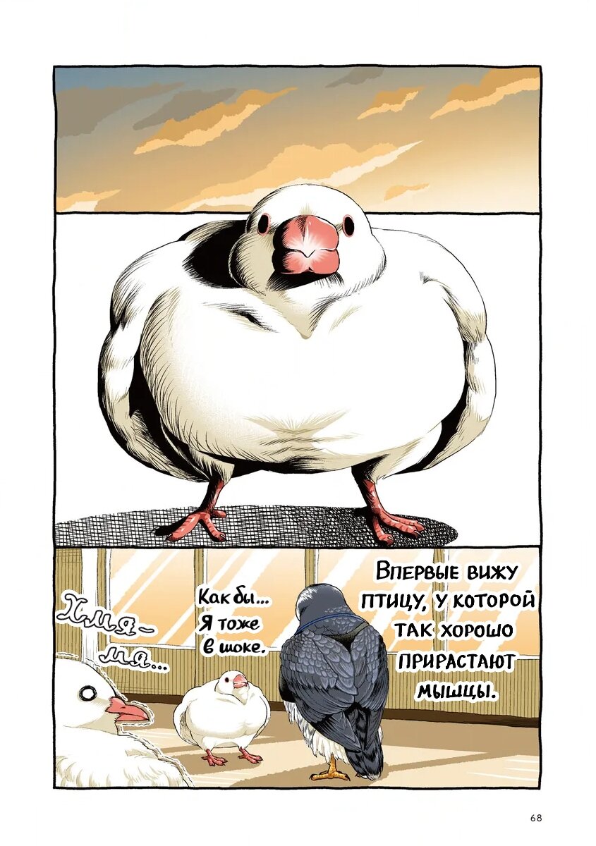 Манга Почирики - Глава 3 Страница 10