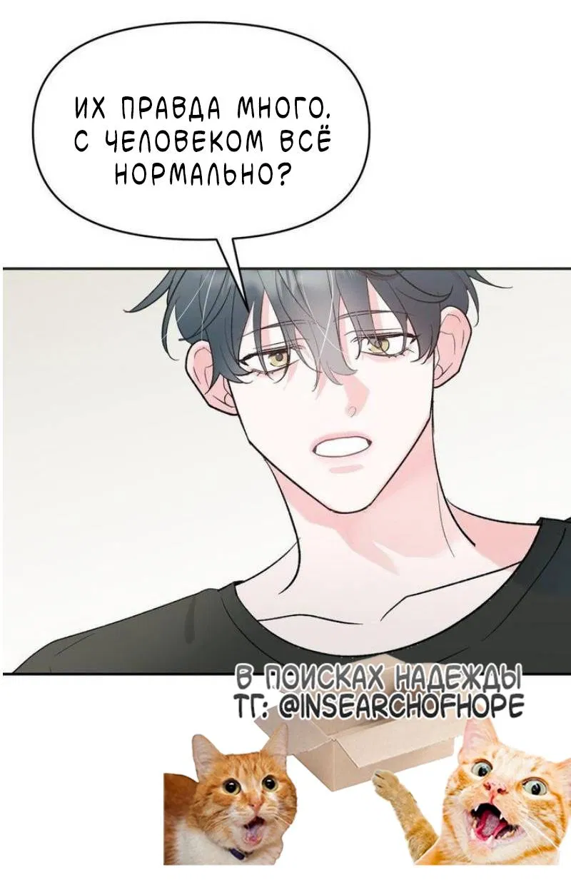 Манга Pit-A-Pat - Глава 24 Страница 40