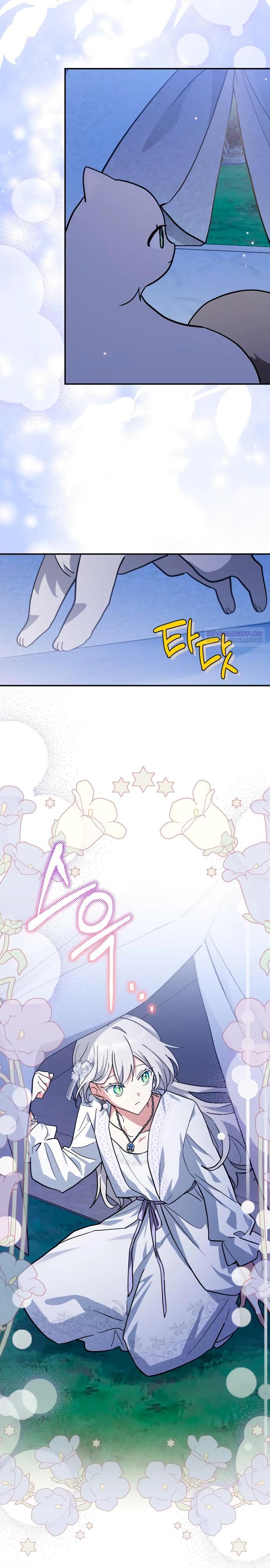 Манга Я кошка, но меня приютила семья волков. - Глава 73 Страница 18