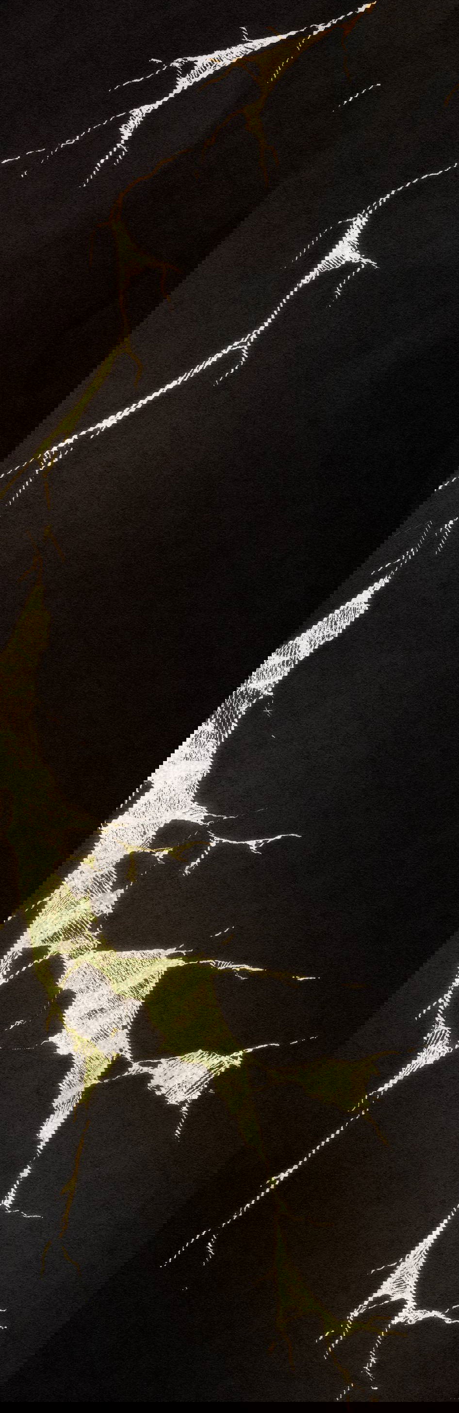 Манга Всё, кроме твоей жизни - Глава 60 Страница 37