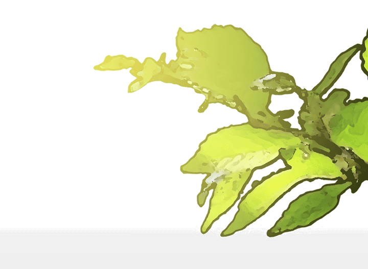 Манга Выживание в роли горничной в хоррор-игре - Глава 20 Страница 58