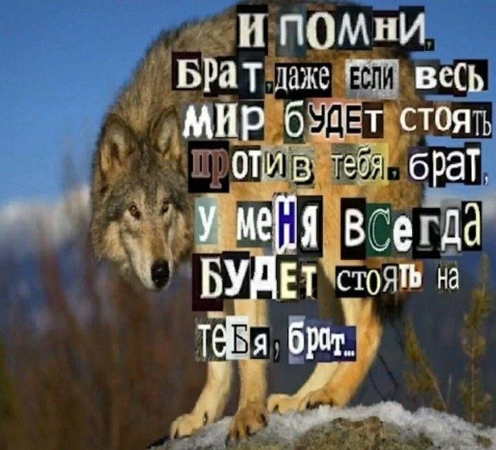 Манга Гони или умри - Глава 4 Страница 5