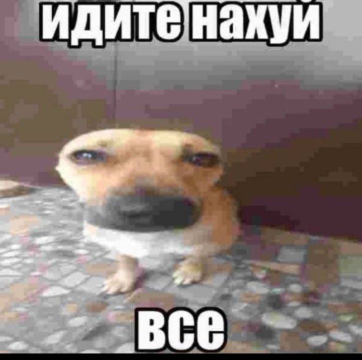 Манга Гони или умри - Глава 12 Страница 5