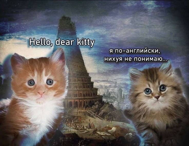 Манга Гони или умри - Глава 15 Страница 5