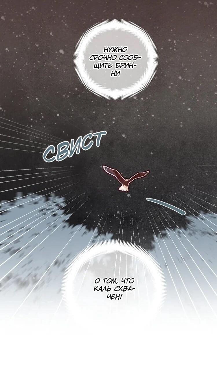 Манга Бринни и пустое место - Глава 23 Страница 13