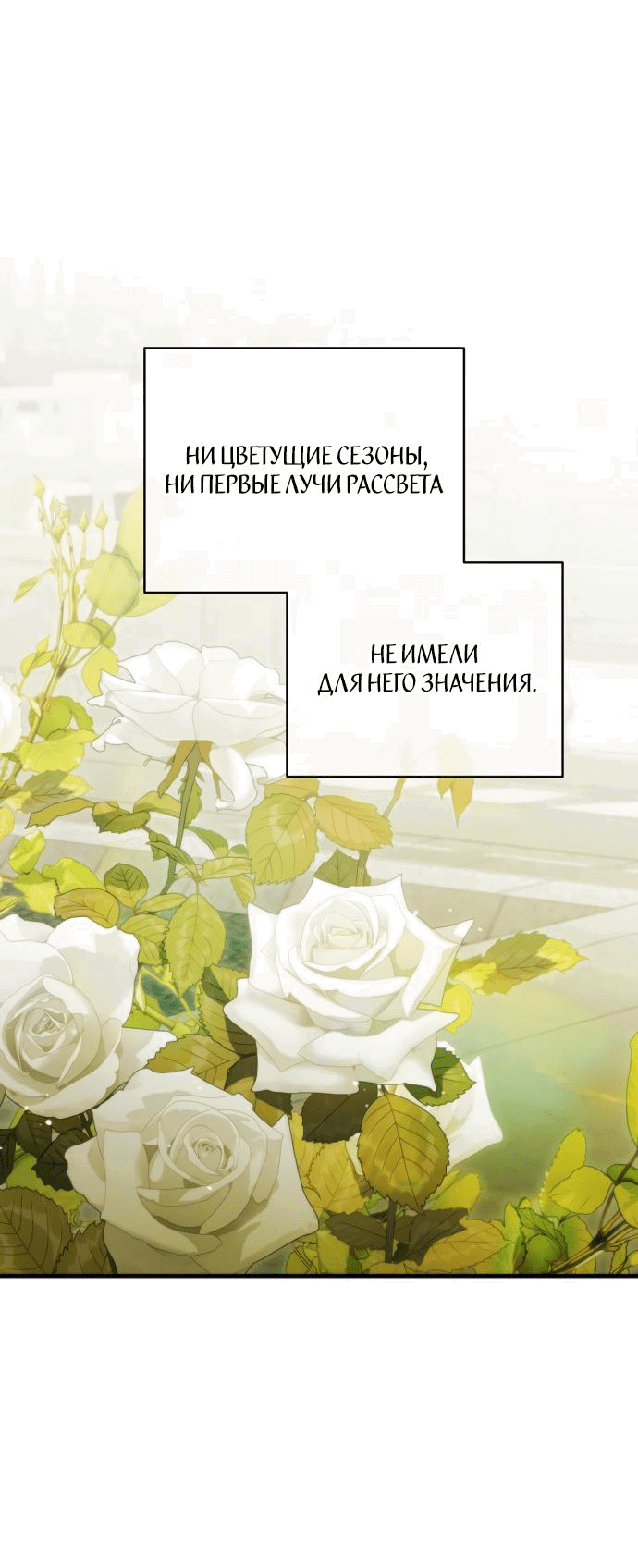 Манга Я мертва, так почему ты одержим мной? - Глава 39 Страница 5