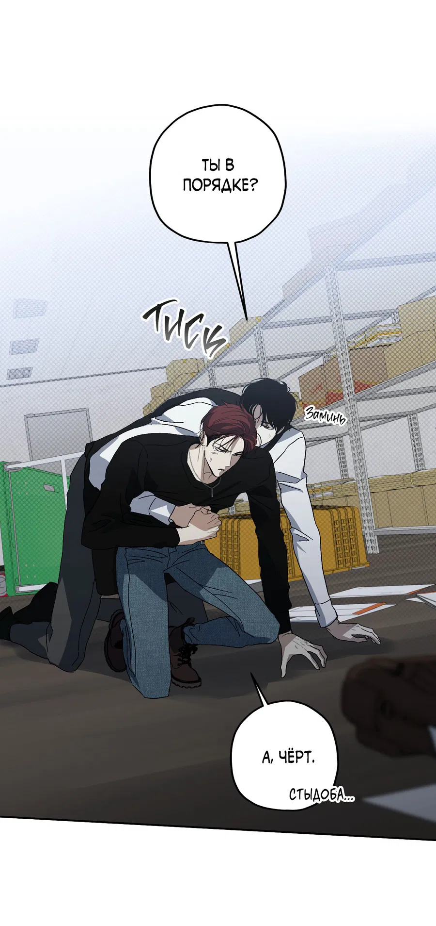 Манга Тигр против тигра - Глава 13 Страница 3