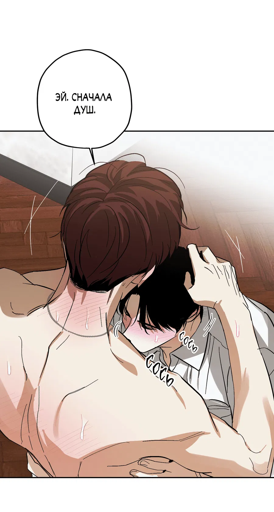 Манга Тигр против тигра - Глава 13 Страница 19