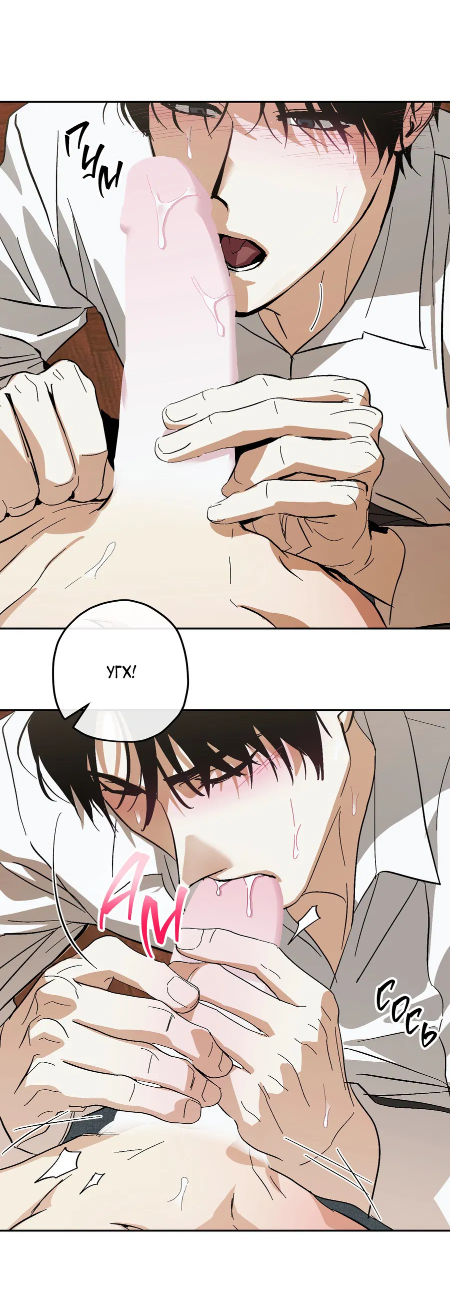 Манга Тигр против тигра - Глава 13 Страница 22