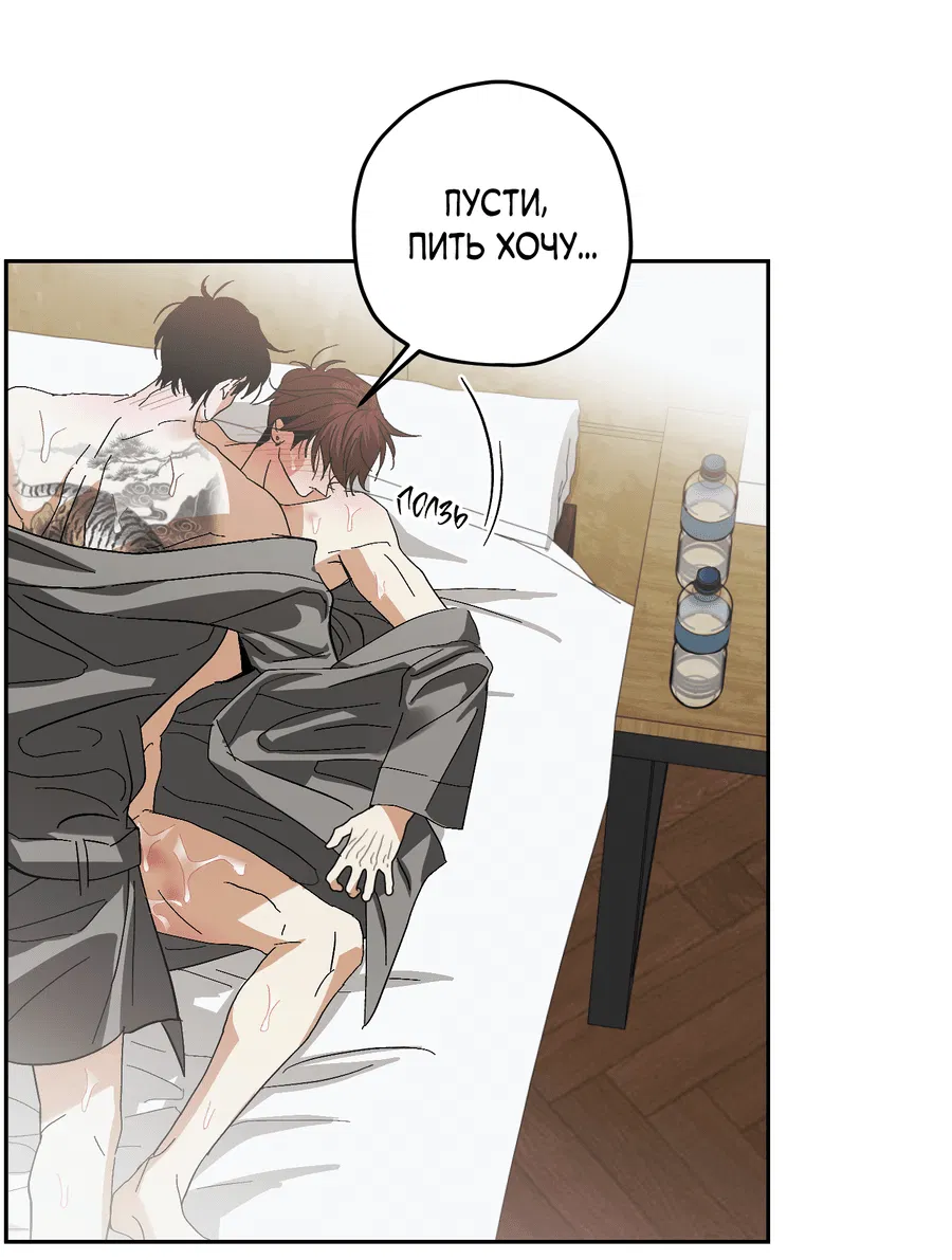 Манга Тигр против тигра - Глава 15 Страница 14