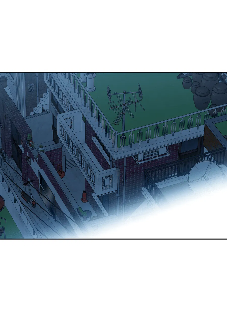 Манга Тигр против тигра - Глава 19 Страница 21