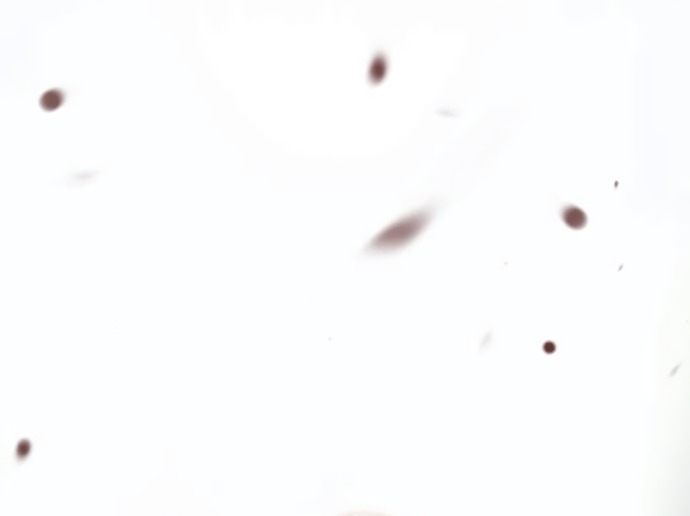 Манга В плену ужасной драмы - Глава 74 Страница 75