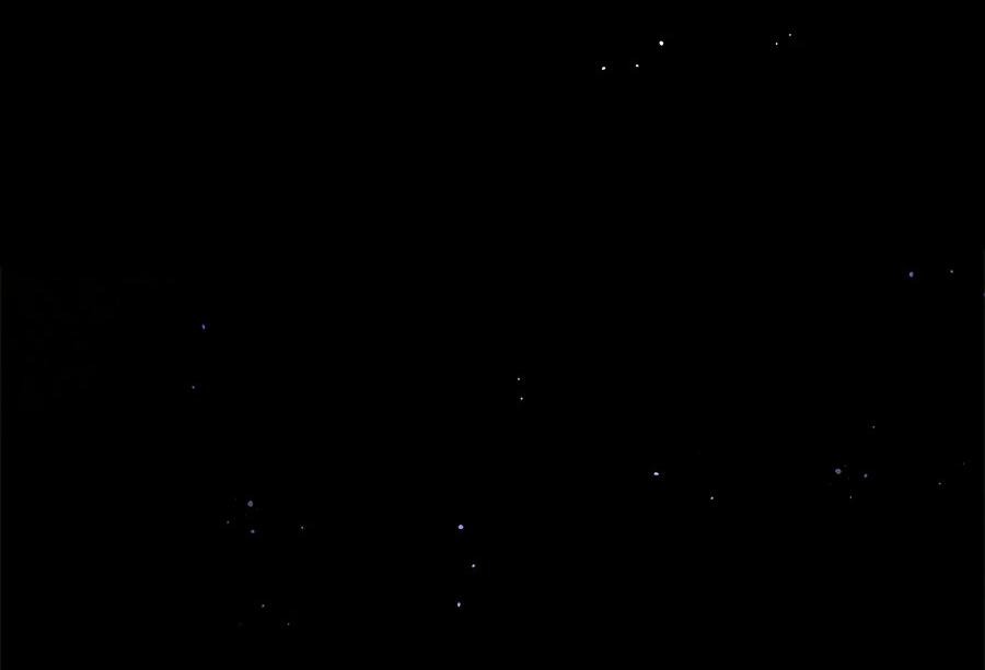 Манга Я схватила поводок слепого зверя - Глава 1 Страница 14