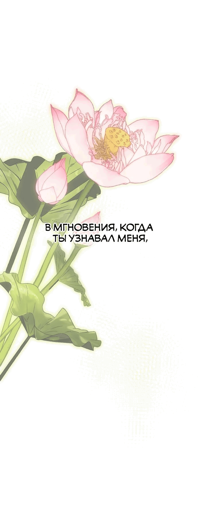 Манга В поисках короны - Глава 15 Страница 43