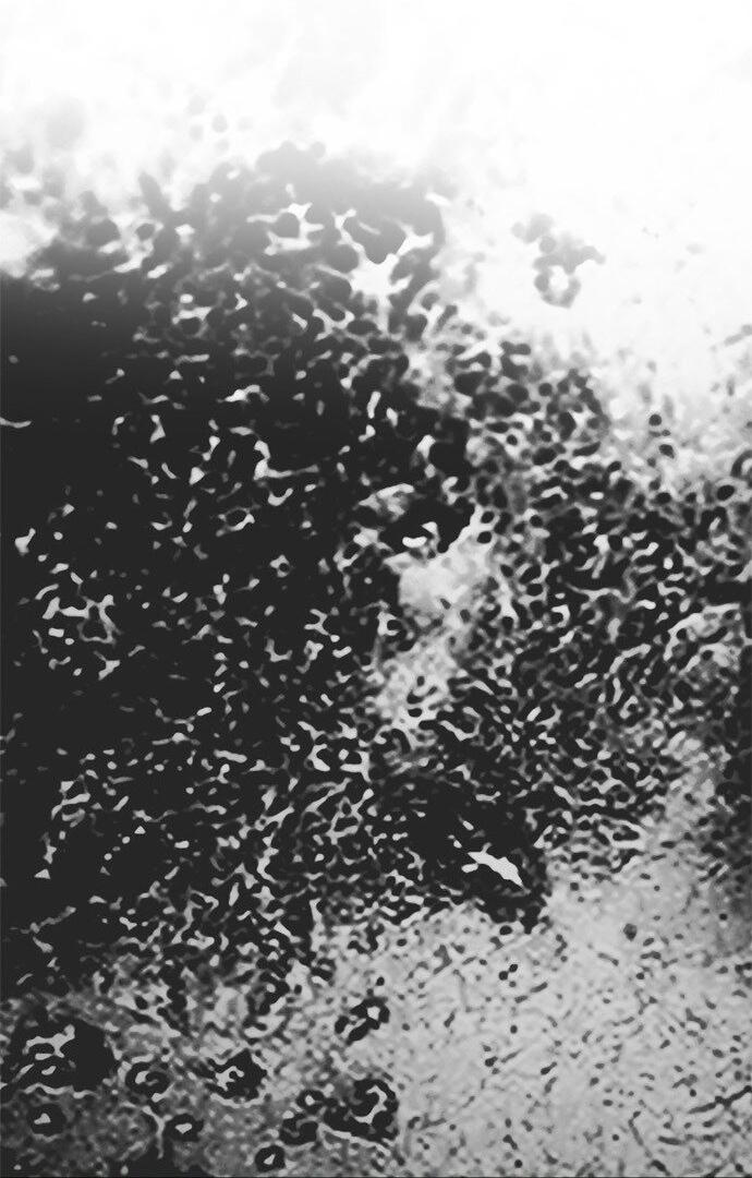 Манга Одного мужа достаточно - Глава 36 Страница 60