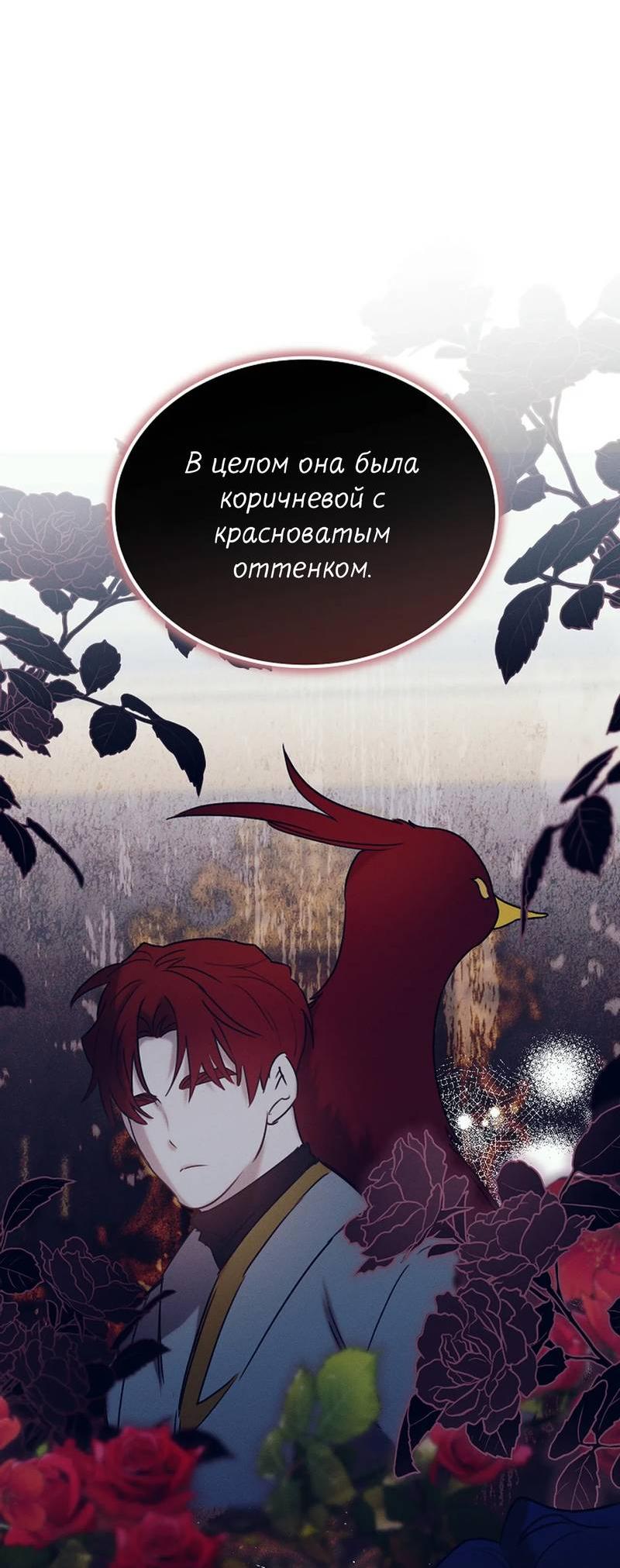 Манга Эй, не нажимай эту кнопку - Глава 51 Страница 43