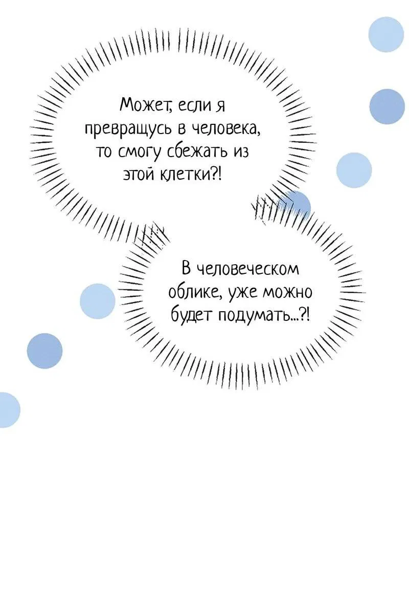 Манга Эй, не нажимай эту кнопку - Глава 51 Страница 13