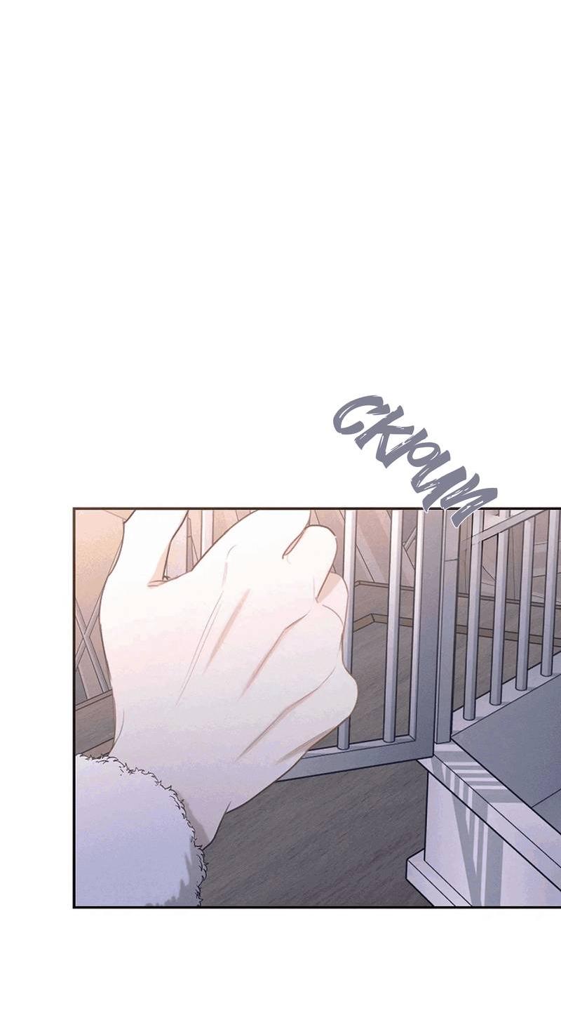 Манга Эй, не нажимай эту кнопку - Глава 52 Страница 67