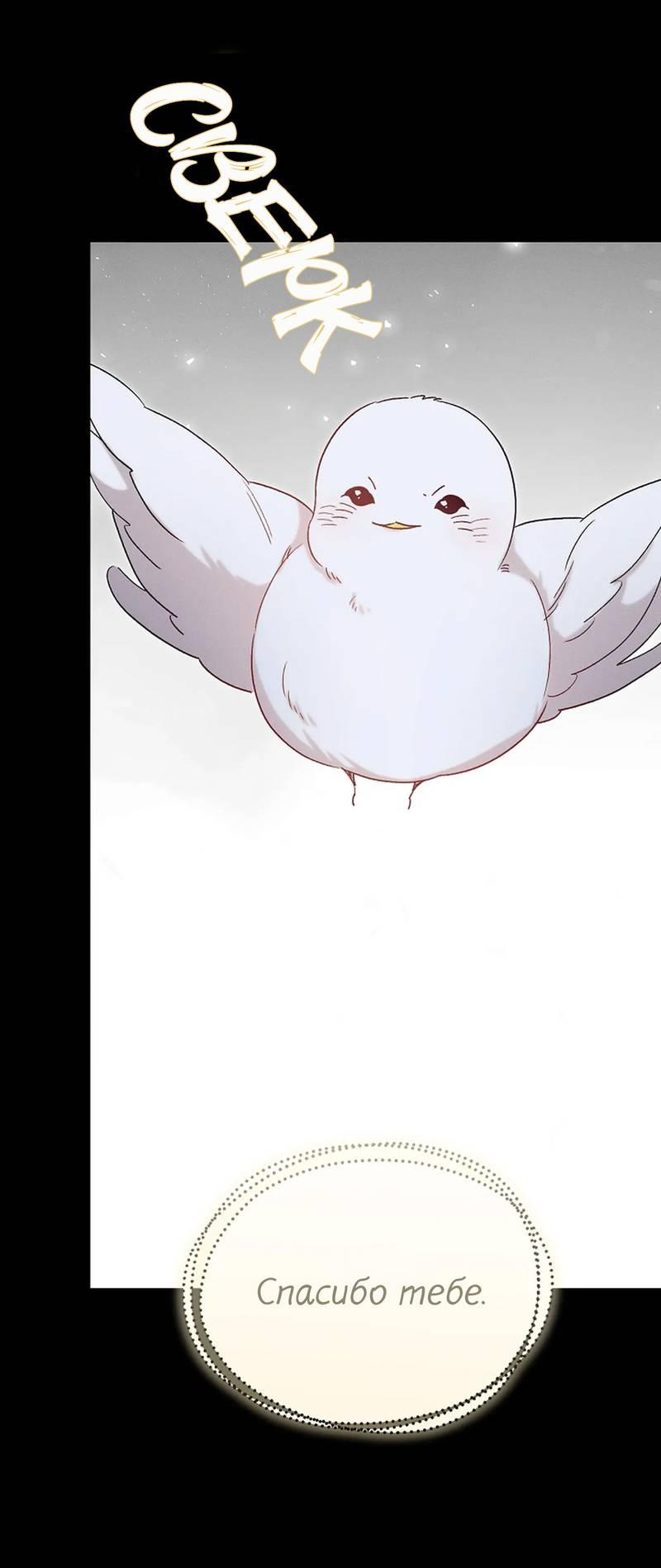 Манга Эй, не нажимай эту кнопку - Глава 64 Страница 52